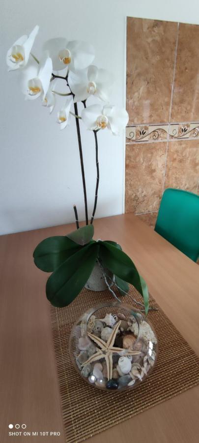 Apartments Tara Ulcinj Luaran gambar